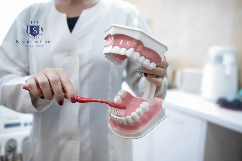Kinh nghiệm chăm sóc răng miệng sau khi dán răng sứ veneer Kinh nghiệm chăm sóc răng miệng sau khi dán răng sứ veneer