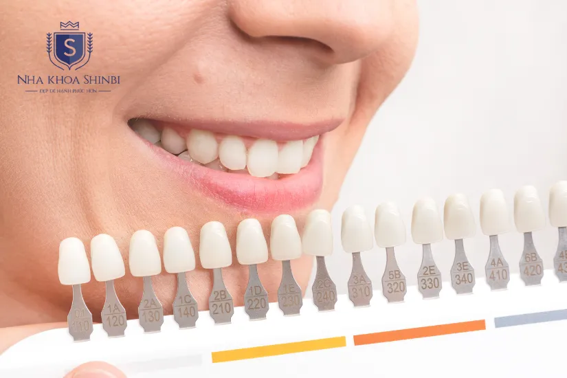 Bền chắc, ăn nhai tốt Bền chắc, ăn nhai tốt