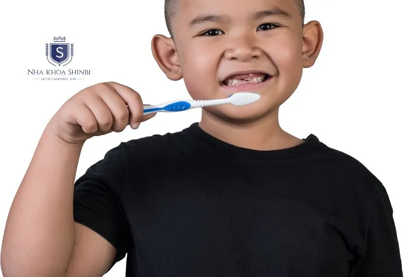 Chăm sóc răng miệng cho trẻ em khi mất răng Chăm sóc răng miệng cho trẻ em khi mất răng