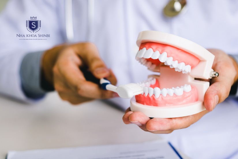 Vệ sinh răng sứ đúng cách giúp kéo dài tuổi thọ