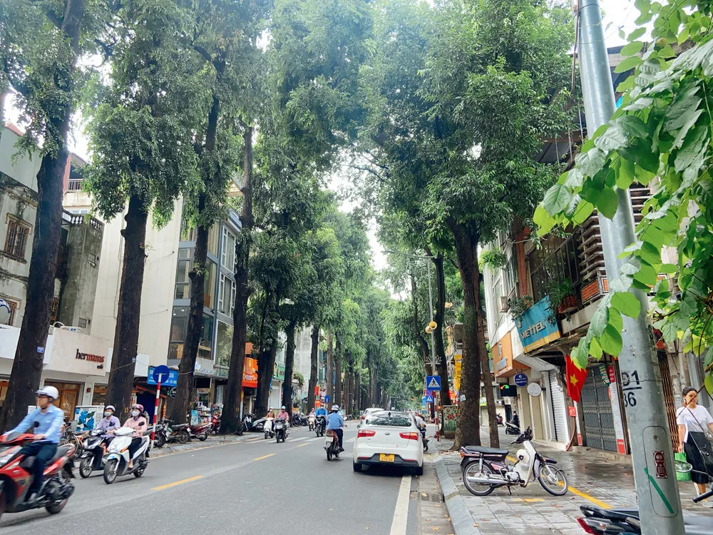 Shinbi Dental - Địa chỉ lấy cao răng sạch, êm ái khu vực Hai Bà Trưng